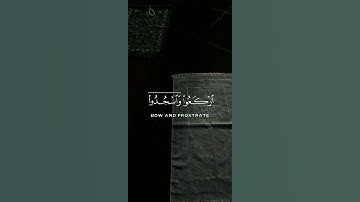 ﴿يَا أَيُّهَا الَّذِينَ آمَنُوا ارْكَعُوا وَاسْجُدُوا وَاعْبُدُوا رَبَّكُمْ﴾ سورة الحج #قرآن #quran