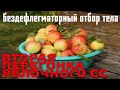 Бездефлегматорный отбор/ Вторая перегонка яблочного СС