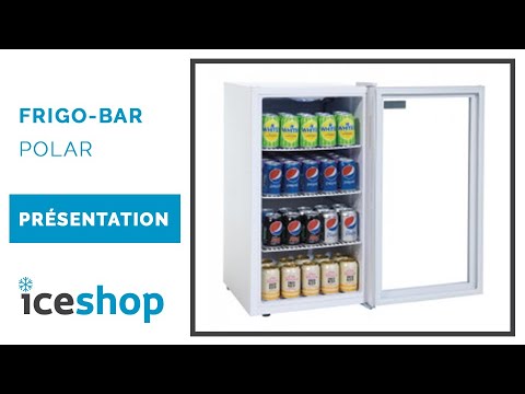 Présentation - Frigo-Bar Polar - Ice-shop 