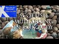 Scottish Mudlarking - Beachcombing Kirkcaldy's Treasures Beach Spongeware Pottery Sea Glass and more