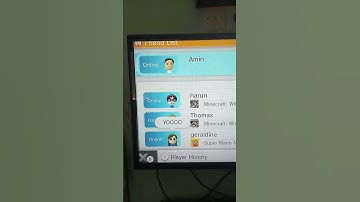 Wii u friend list 2023