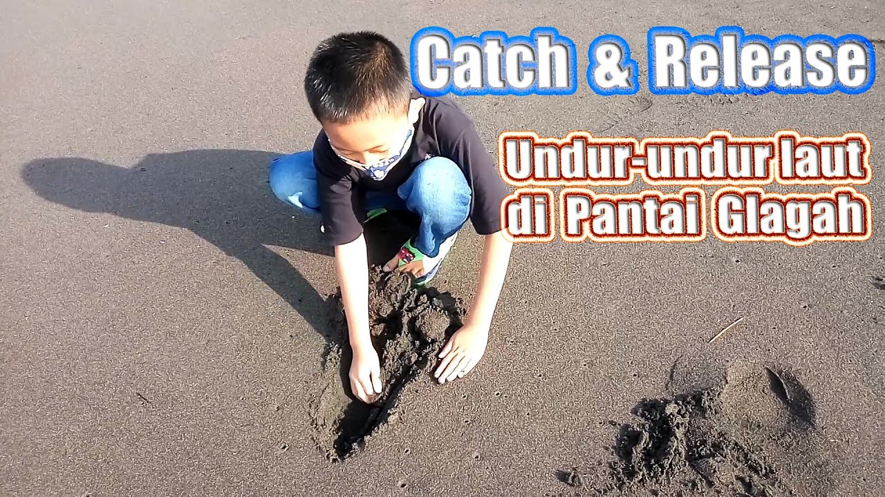 Mencari Undur-undur Laut di Pantai Glagah Kulon Progo || Wisata