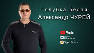 Александр Чурей - Голубка белая