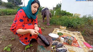 I picked eggplants from the farm and cooked food with them in nature - outdoor wilderness cooking