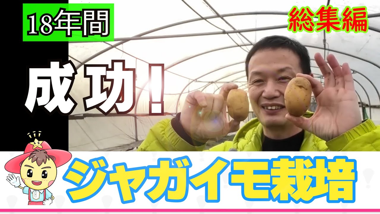 Natural Cultivation 270] Double your yield! Potato cultivation