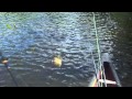 bass, pike and panfish fishing in the adirondacks bass, pike and panfish fishing in the adirondacks