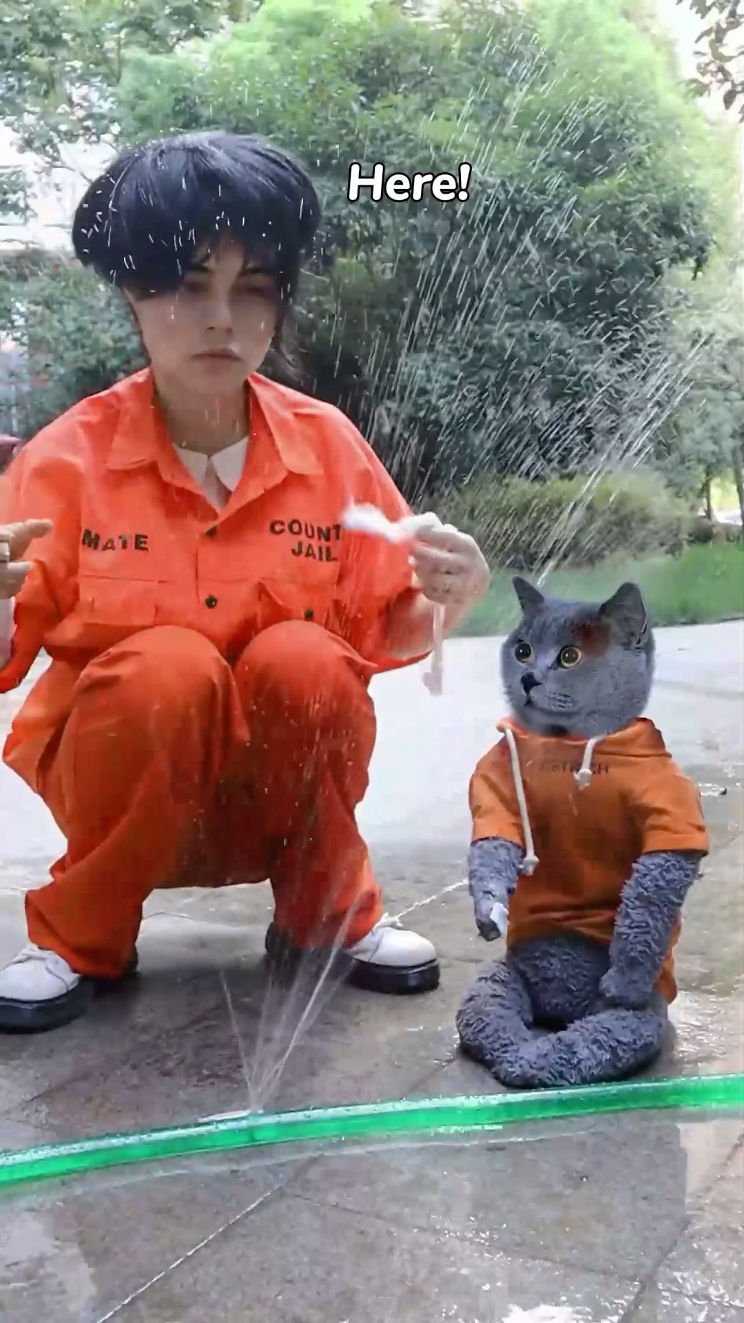 Don't Worry!?Try My Amazing Quick Fix For Leaking Pipes!?? #catvideos #catmemes #trending