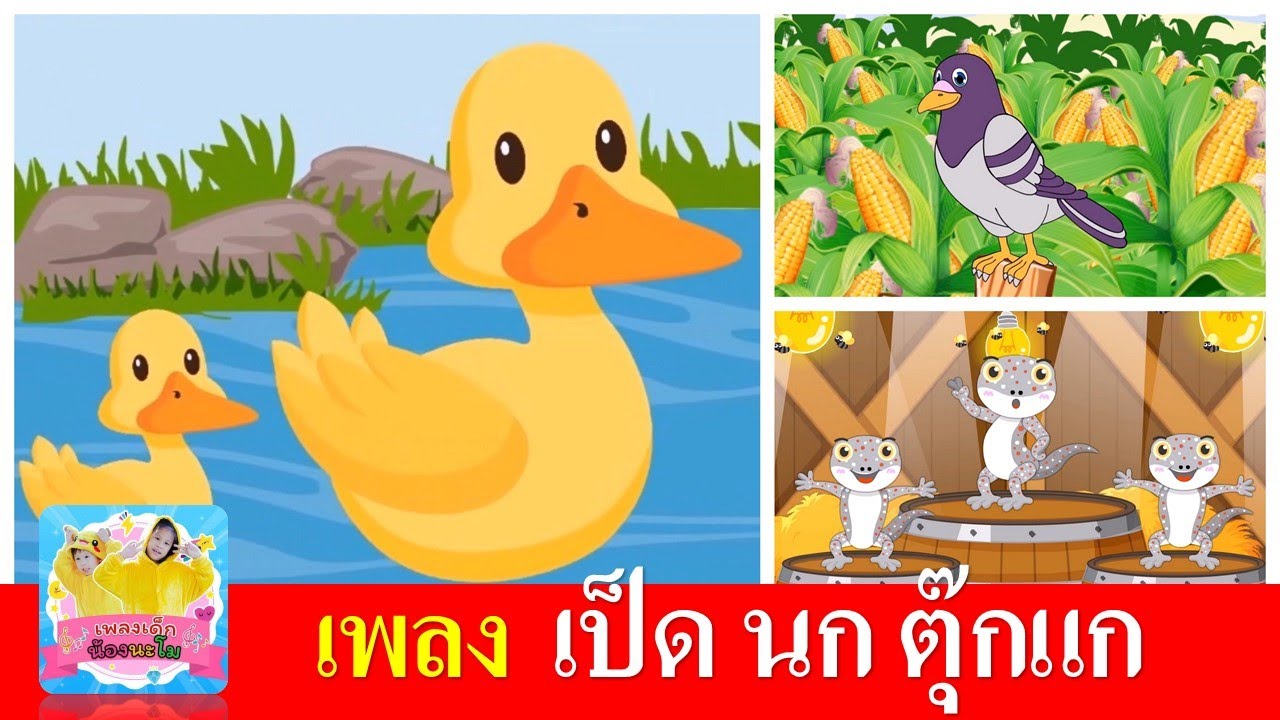 เพลงเด็ก เป็ด นก ตุ๊กแก | เป็ดอาบน้ำในคลอง | นกเขาบินข้ามเขา | ตุ๊กแก