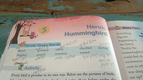20-08-2020 Class-4 EM English Lesson-5 Heroic Hummingbird Part-1