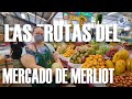 Las ventas de FRUTAS del MERCADO  de MERLIOT | el patechucho