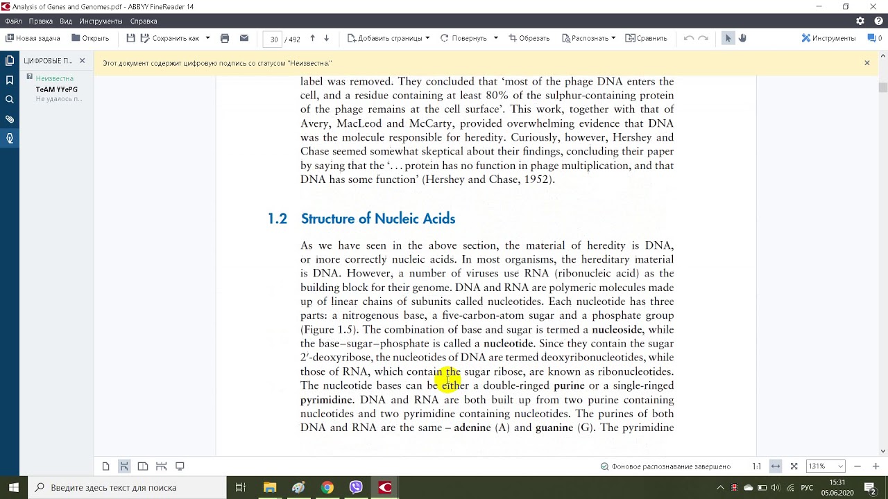 Amphipoda Crustacea Харьковской области