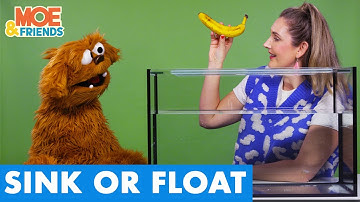 Silly SINK or FLOAT | Science Challenge for Kids | Collab with @musicwithmichal