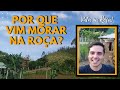 POR QUE VIM MORAR NA ROÇA? COMO FOI A TRANSIÇÃO DA CIDADE PARA A ROÇA. UM POUCO DA MINHA HISTÓRIA.