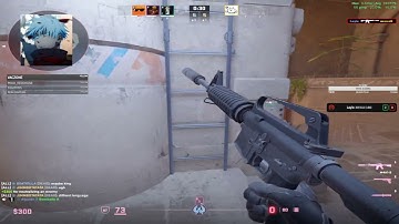 FACEIT ANUBIS GAMEPLAY (24KILL 1.71KD) | FACEIT +3000 ELO CS2