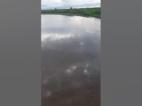 Потоп. - YouTube