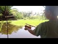 TILAPIA HUNTING (Airgun Fishing)