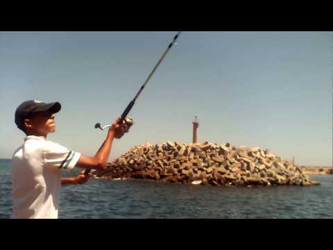 طرح مصيد بالريشة في المنستير     