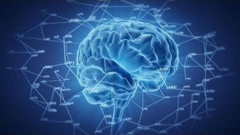 Brain Network | Motion Graphics - Videohive template