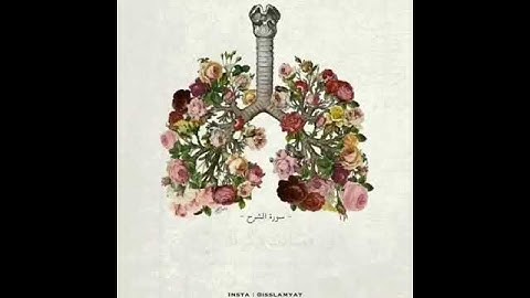 سورة الشرح بصوت جميل جدًا 🌸.