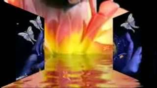 Tommy J pisa   Elisa mp4