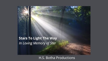 Stars To Light The Way - In Loving Memory of Ster (Sigrun Paschke)