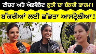 ਟੀਚਰ ਅਤੇ ਐਡਵੋਕੇਟ ਕੁੜੀ ਦਾ Bakri Farm - Kang Commercial Goat Farm Patiala | Top Goat Farming | Sirlekh