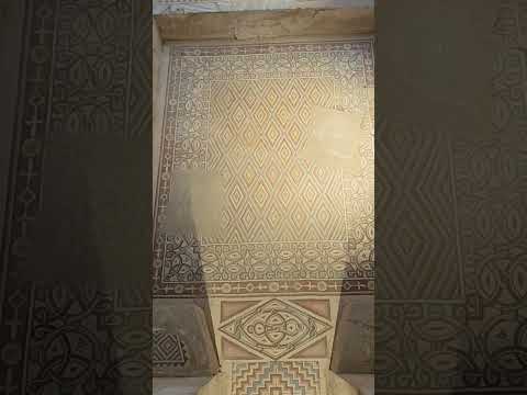 شجرة الحياة قصر هشام أريحا فلسطين  