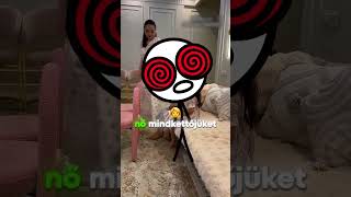 Udvarias Sétát Tanulnak 💃