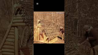 Build a wooden shelter #viral #survival #creativesurvival #bushcraft #adaptablesurvival #nature