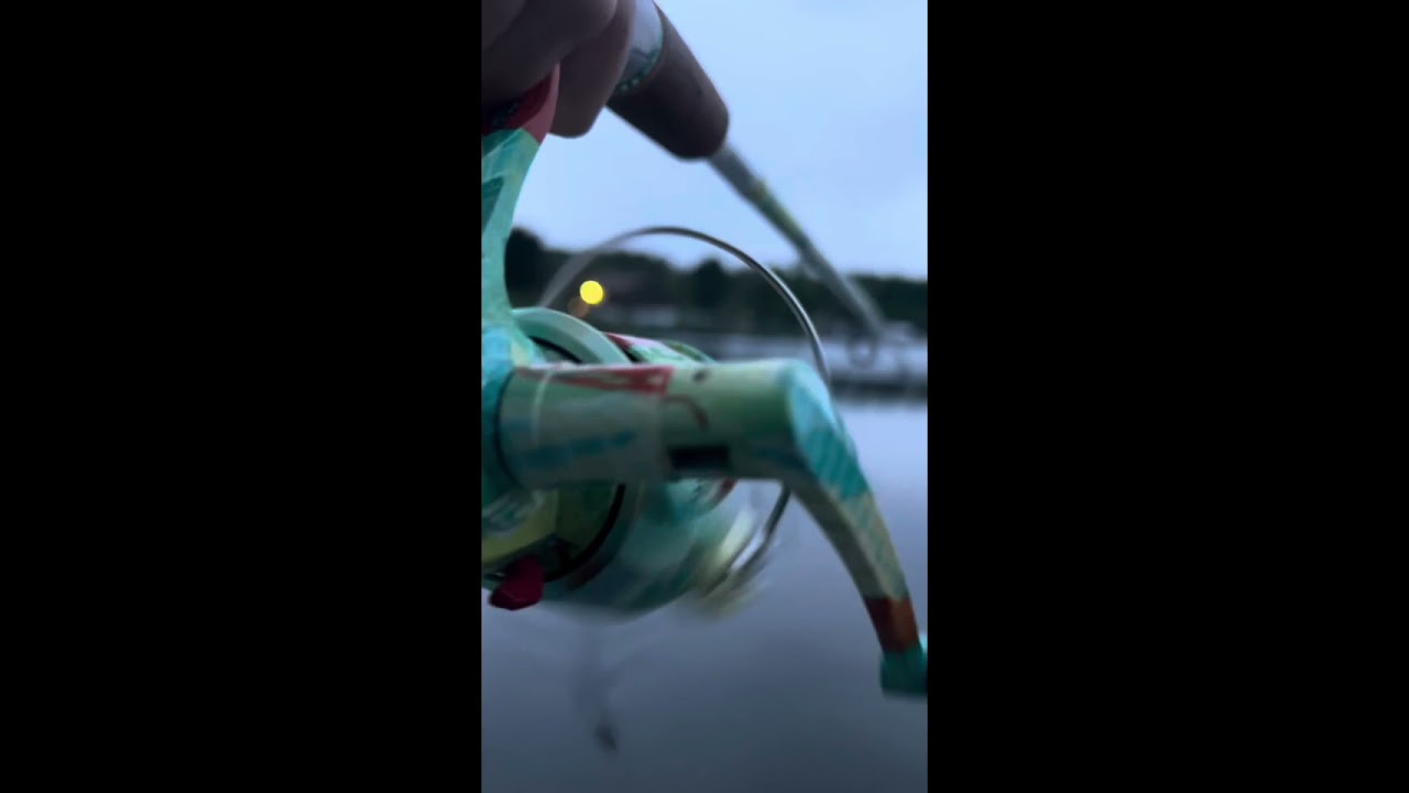 Testing my Temu whopper plopper for bass! #bassfishing #fish #fishing #bass #largemouthbass