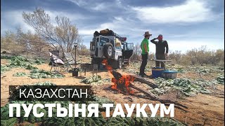 Пустыня Таукум. От трассы Алматы-Караганда, по пескам к реке Или.