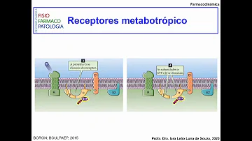 O que são receptores Ionotrópicos E o que eles regulam após serem ativados?