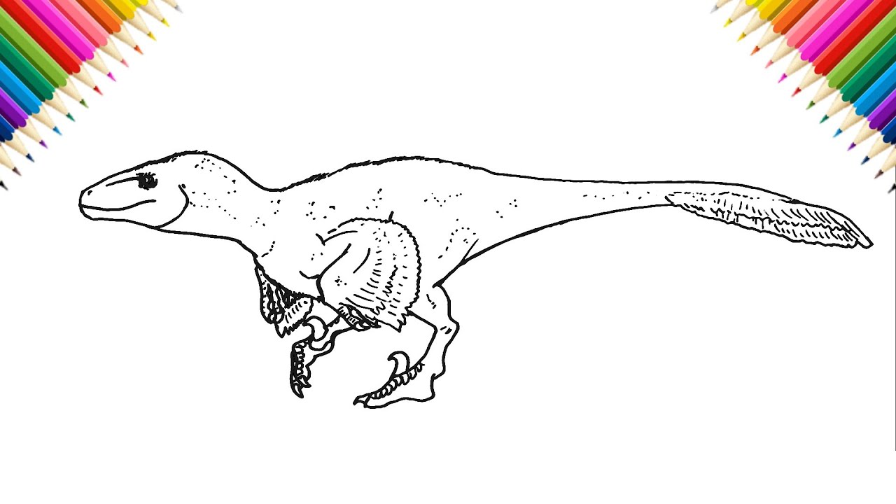 Utah Raptor Drawing Base How to Draw Utahraptor from Walking with Dinosaurs - YouTube