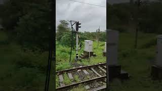 Train In Moderate Rain Shorts