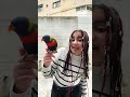 לורי קשת רוקד לורי קשת רוקד