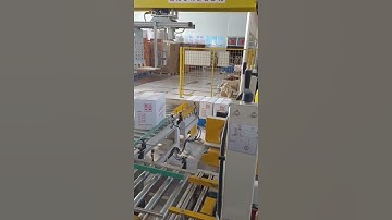 Fully Auto Various Carton Sealing Machine Palletizing Carton Box Robot Palletizer Machine