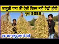 You might not have seen such a variety of chickpea kabuli chana  sugarcane farming rice farming pusa 3022 