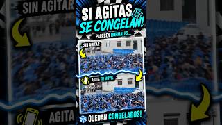 Si agitas Tu Móvil la Imagen Se DETIENE | Ilusión Óptica