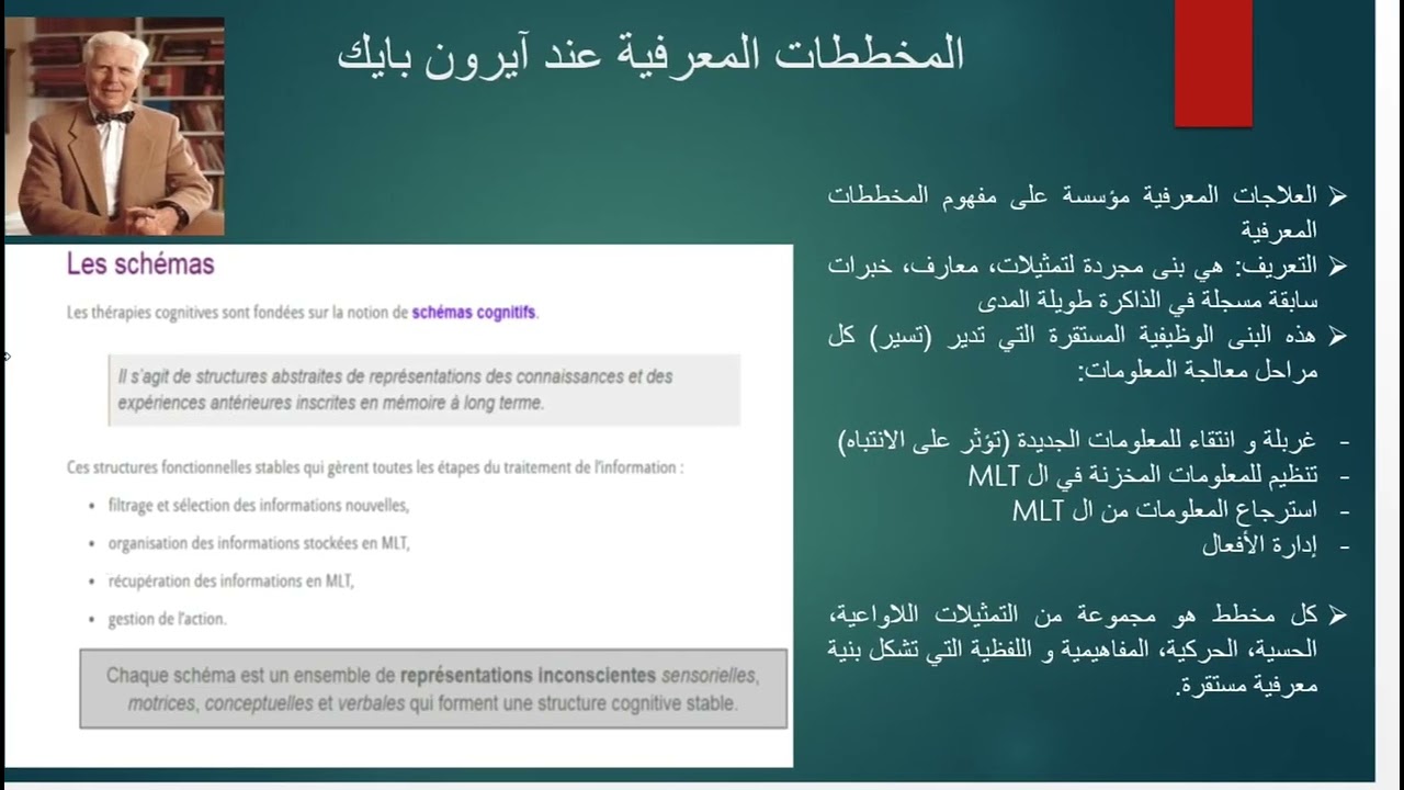 المخططات المعرفية Cognitive Schemas (02)