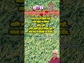 स्वतःची पावलेही जड वाटतात #motivation #suvichar #viral #shorts #marathi #shortvideo