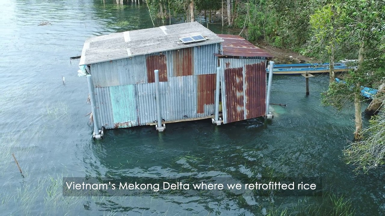 Buoyant Foundation Project 100&Change