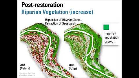 02 E Building Resilience with Low-Tech Restoration