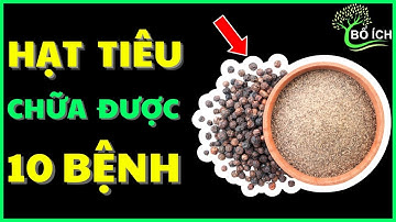 Tin Vui: 10 Lợi Ích Của Hạt Tiêu Chữa Được 10 Căn Bệnh Thường Gặp Nhất- kênh sức khoẻ bổ ích