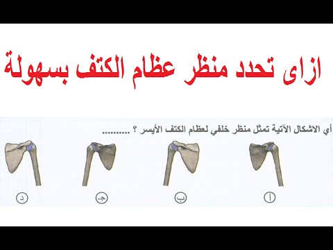أروع فيديو ازاى تحدد نوع عظام الكتف أمامى أم خلفى وأيمن أم أيسر بسهولة تريكات أحياء ثانوية عامة