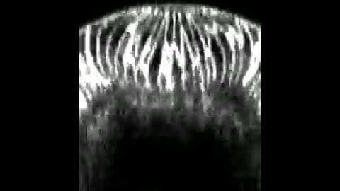 In Vivo Furrow Formation