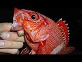世界遺産で本気の穴釣り。Fishing at a World Heritage Site. 세계유산으로 낚시.在世界遗产地钓鱼