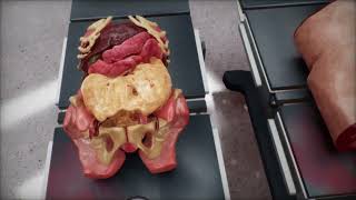 SuFIA-BC: High Quality Demonstration Data for Visuomotor Policy Learning in Surgical Subtasks