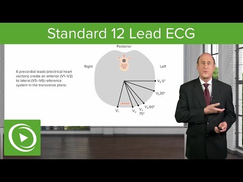 standard-12-lead-ecg---cardiology-|-lecturio