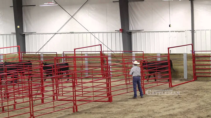Low Stress Cattle Handling – Part 1