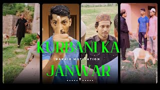 Kurbani ka Janwar ll Bakrid motivation video II asfaqulaktar  subscribe my channel